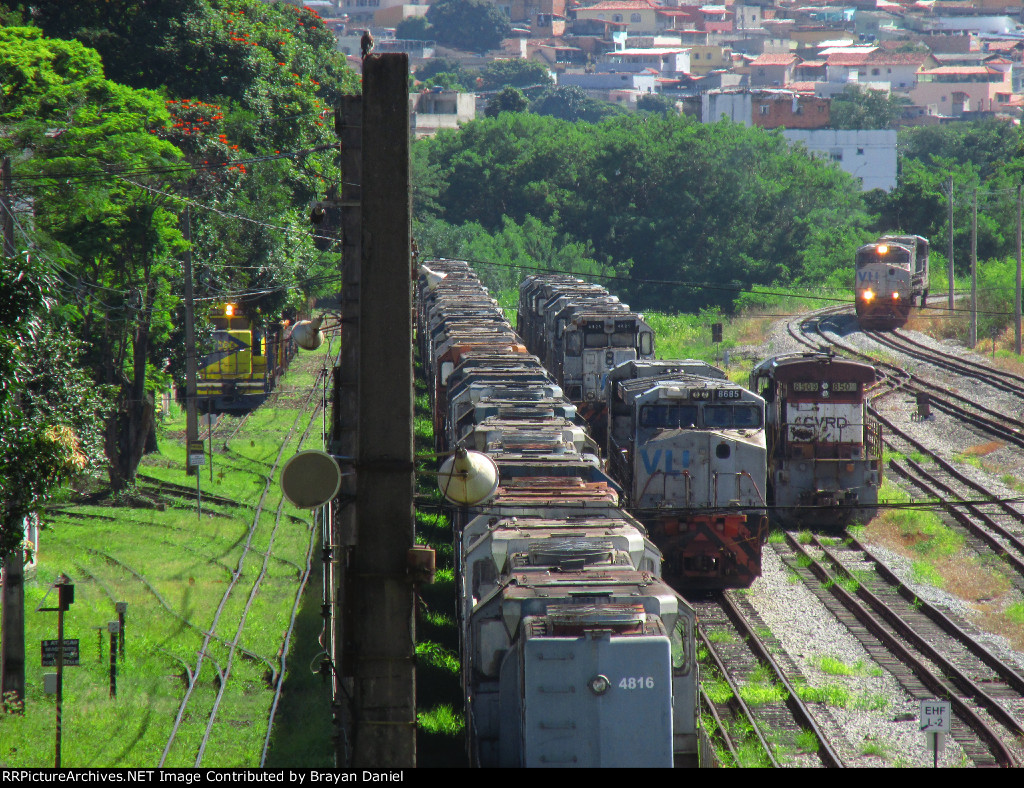 VLI 4816